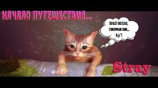Stray Приключения начались...
