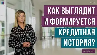 Как выглядит и формируется кредитная история?