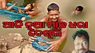 ଚିଙ୍ଗୁଡ଼ି ହାତରେ କେମେତି ଧରାଯାଏ !! How To Catch Prawn !! Machali Pakadne Ka Tarika !!