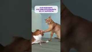 Как БЫСТРО научиться откладывать деньги