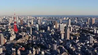 Japanese exports boost 2016 growth figures