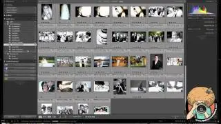 Lightroom Folders & Collections Explained