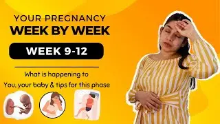 Pregnancy Week 9-12 | What is happening to you, your baby and some tips | Pregnancy Week by week