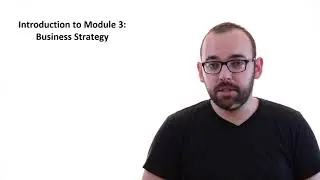 3.0 Introduction to Section 3: Business Strategies
