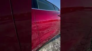 Ford Focus 4 спелая вишня 🍒