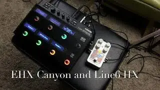 EHX Canyon in FX Loop of the Line 6 HX effects