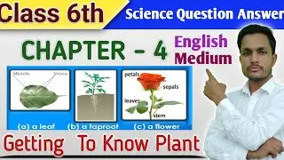 Class 6th Science | Chapter - 4  Getting To Know Plant | Question Answer English Medium #class6 #yt