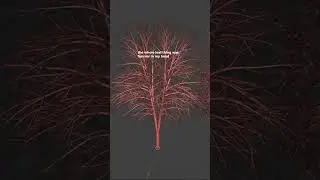 INSTANT Trees in Blender! (FREE Built-In Sapling Addon)