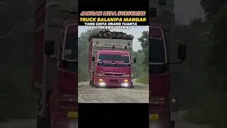 truck pink keren muat sawit #shorts #trukoleng #mobiltruk #youtubeshorts #dumptruck #truck