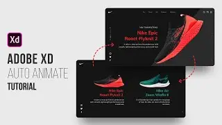 Auto Animate Tutorial in Adobe XD |  Nike Website | UI Design | XD Tutorial 2022