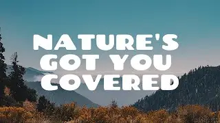 Why We Need to Spend More Time in Nature