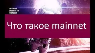 Что такое mainnet. Ключевые особенности