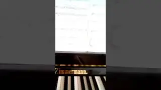 Какими пальцами нужно играть на фортепиано? Играть нужно теми, которые максимально удобным для вас.