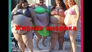 Жирная Америка или как не разжиреть в США, самые толстые люди в Америке
