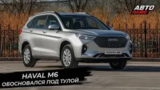 Бывший завод Volkswagen закрывает двери, а Haval M6 освоился под Тулой | Новости с колёс №2746