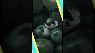 Mükemmel Fotoğraflar Çekmenin Sırrı!