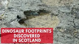 Dinosaur footprints found on Scottish island of Skye