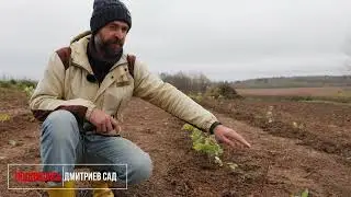 Деревенские хлопоты. Хранение урожая и поздняя посадка малины.