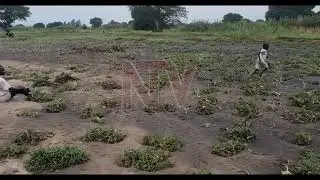 Over 50 households in Moyo district affected by floods