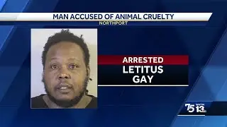 Northport man accused of animal cruelty