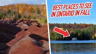 TOP 5 Places to See in Ontario in Fall