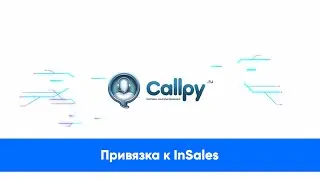 Callpy / Привязка к InSales (обучающее видео)