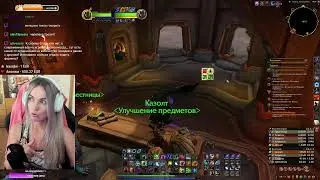 🔥 Качаемся дальше в WoW TWW 🔥 Druid