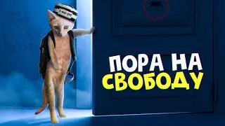 Один день с рыжим котенком из прошлого выпуска / SANI vlog