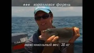 Морская рыбалка,  Ужение монстров-  Планета рыбака
