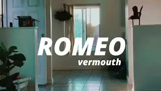 vermouth unreleased demo / rio romeo (they/them)