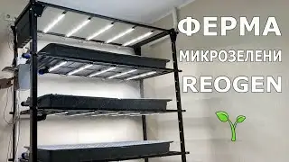 Собираем вертикальную ферму для выращивания микрозелени Reogen / Mr.GrowChannel