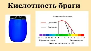 Кислотность браги.