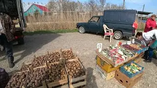 Станица Старотитаровская / жизнь и переезд на ПМЖ на юг в Краснодарский край.  КРАСНОДАР