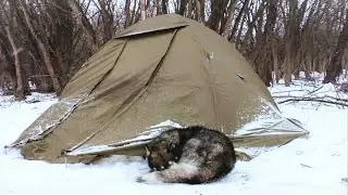 Рыбалка с ночёвкой в палатке. ШАКАЛЫ выли ночью, ЛЕЩИ клевали днём. Зимняя рыбалка. Жерлицы