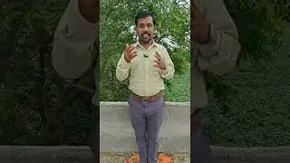 ग्रामसेवक देणार का बांधकाम कामगारांना 90 दिवसाचे प्रमाणपत्र