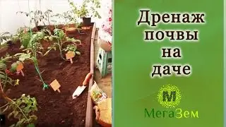Дренаж почвы на даче. Проект 