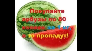 Арбузы по 80 копеек за кг никому не нужны?