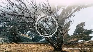 TrackTribe - No Mercy (No Copyright Music)