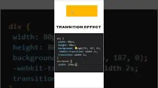 Transition Effect in css 😱 