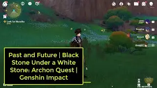 Past and Future | Black Stone Under a White Stone: Archon Quest | Genshin Impact