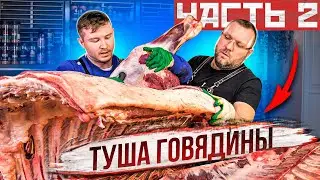🐂🪓🔪РАЗДЕЛКА и обвалка говядины ПО АМЕРИКАНСКОЙ СИСТЕМЕ NAMP. Передняя четверть