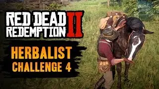 Red Dead Redemption 2 Herbalist Challenge #4 Guide - Pick 5 mushrooms and feed them to your horse