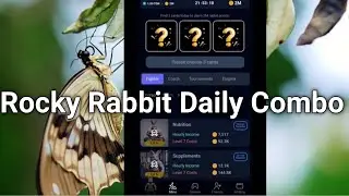 17 & 18 September Rocky Rabbit Daily Combo/Today Rocky Rabbit Superset Card/Rocky rabbit Daily Combo