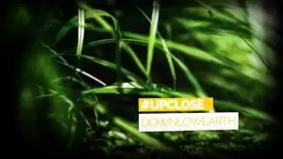 Hashtag Show After Effects Template