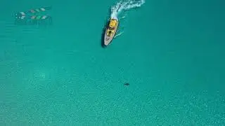 Wylie Bay (Esperance) Shark Attack 6th February 2022