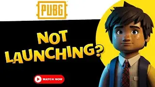 How to FIX PUBG Battlegrounds not launching or starting on PC?