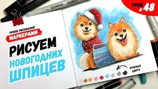 Как нарисовать шпица? / Видео-урок по рисованию маркерами для новичков #48