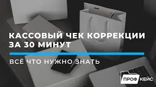 Всё что нужно знать о кассовом чеке коррекции за 30 минут