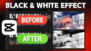 How To Make Black And White Filter In CapCut PC (Step By Step Tutorial)