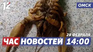 Необычный улов в Иртыше / Патриотическое воспитание / Фестиваль молодежи. Новости Омска